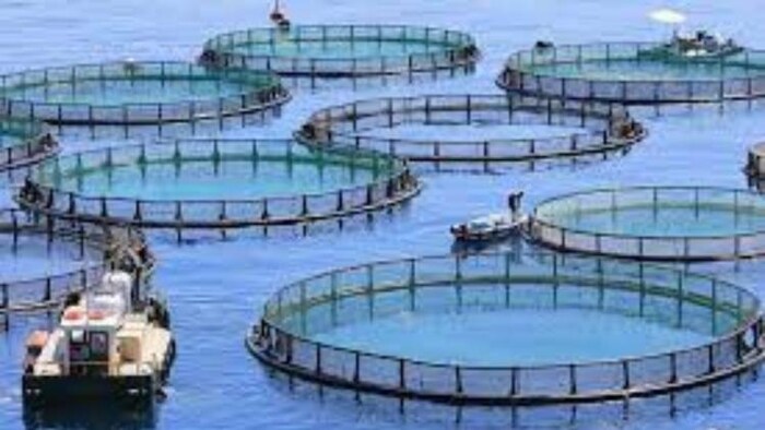 कई बदलाव के साथ सदन में पेश किया गया एक्वाकल्चर बिल