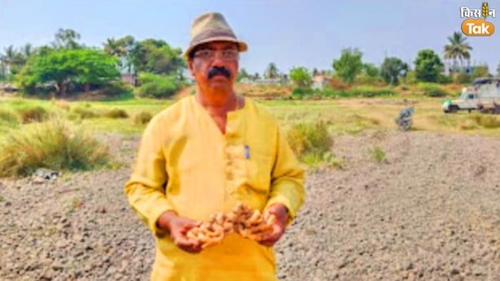 बारामती के किसान ने अदरक की खेती से की बंपर कमाई