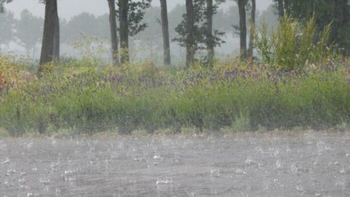 देश के कई राज्यों में बारिश की संभावना