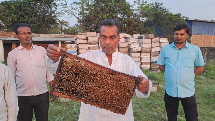 Honey Bee farming: बाढ़ की मार झेलने वाले इलाके को आजाद ने बनाया शहद का हब  