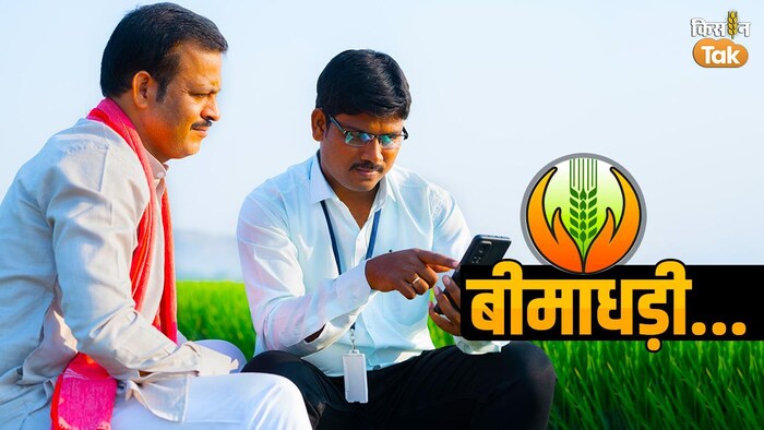 फसल खराबे पर किसान बीमा कंपनी के प्रतिनिधियों को ढूंढ़ते रहते हैं. टोलफ्री पर फोन नहीं लगता. GFX- Sandeep Bhardwaj