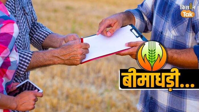 किसानों का आरोप सर्वे होने पर भी किसानों को बीमां कंपनियों दस्तावेज नहीं देती हैं- फोटो किसान तक