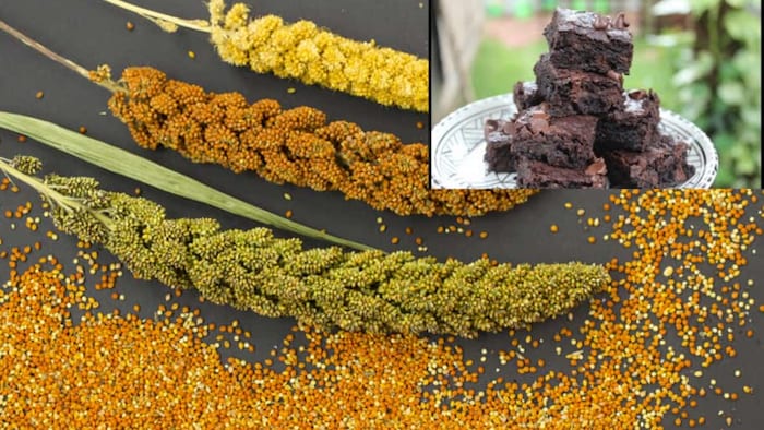 मोटे अनाज से बनी ब्राउनी