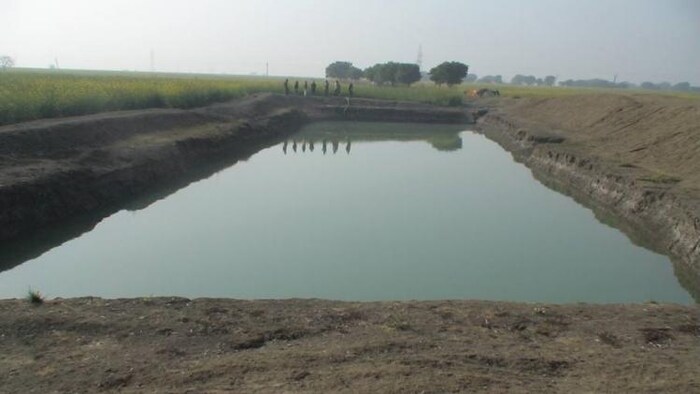 मुख्यमंत्री अशोक गहलोत ने डिग्गी, फार्म पॉण्ड और सिंचाई पाइप लाइन के लिए 463 करोड़ रुपये की मंजूरी दी है. फोटो साभार- Department of Agriculture, Rajasthan