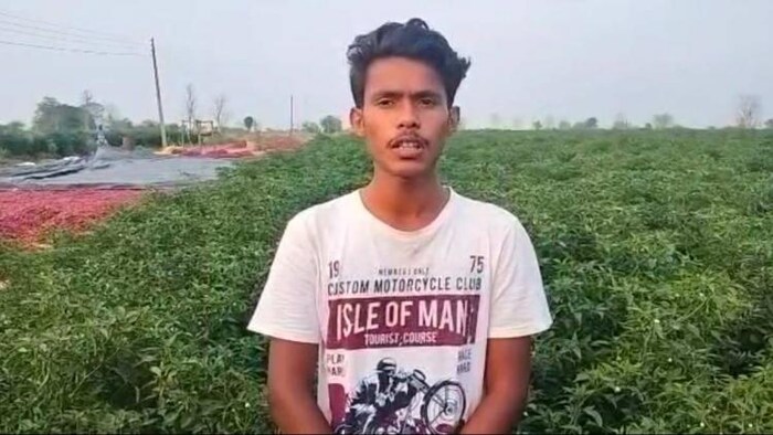 नई तकनीक से मिर्च की खेती कर युवा किसान ने किया कमाल (फोटो किसान तक)