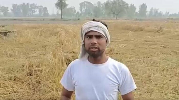 आंधी-बारिश से गेहूं की फसल को हुआ नुकसान