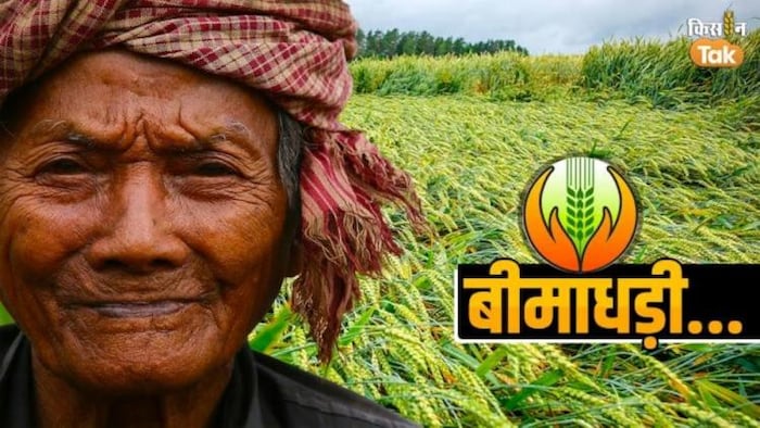प्रधानमंत्री फसल बीमा योजना में किसानों के साथ हो रही धोखाधड़ी. फोटो- Kisan Tak