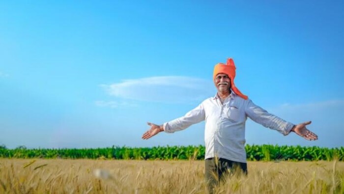 छोटे किसानों के लिए फसल बीमा कराएगी सरकार, फोटो साभार: freepik