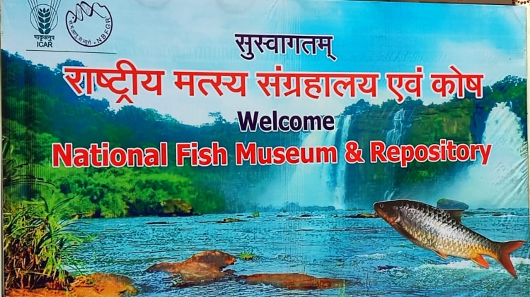 यूपी के इस शहर में खुला नेशनल फ‍िश म्यूज‍ियम, क्यूआर कोड से म‍िलेगी 3900 प्रजातियां की जानकारी