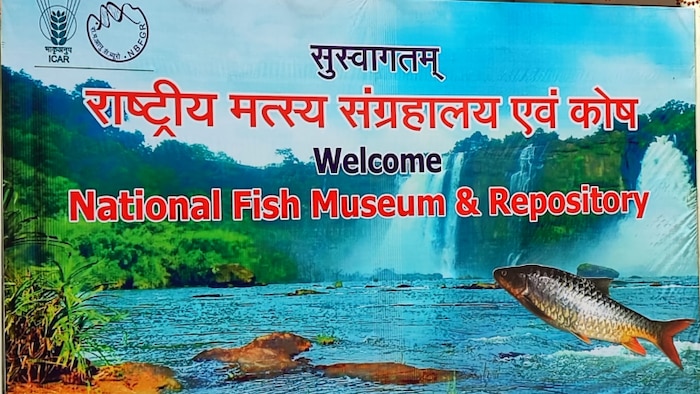 राष्ट्रीय मछली संग्रहालय में मौजूद होंगी देश की सभी फ़िश प्रजातियाँ