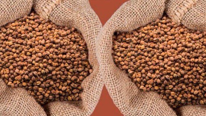 देश में एमएसपी पर कितना खरीदा गया चना? (Photo-Nafed).