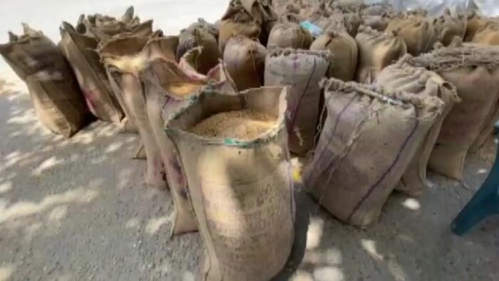 हरियाणा में बहुत पीछे चल रहा गेहूं का उठान