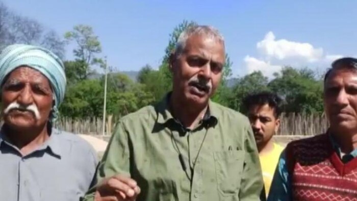 हिमाचल में नहीं मिल रहे टमाटर के सही दाम