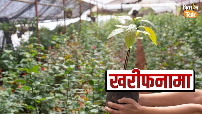 सघन बागवानी में बौने किस्म के पौधे लगाए जाने चाहिए- फोटो freepik