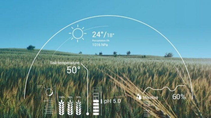 किसानों की भी मदद करेगा AI