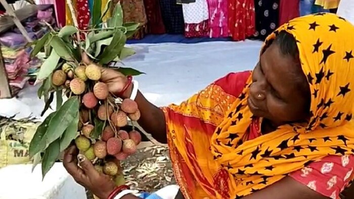 मुजफ्फरपुर में लीची का उत्पादन सबसे अधिक होता है
