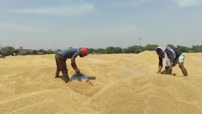 अनाज मंडी, सांकेतिक तस्वीर