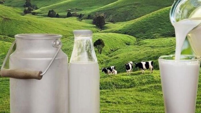 दूध की कीमत में आ सकती है गिरावट