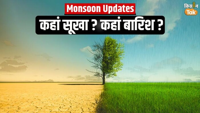 आईएमडी ने मॉनसून की बारिश का पूर्वानुमान जारी कर दिया है