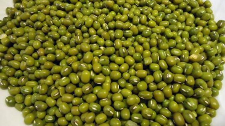 मूंग की उन्नत किस्में, सांकेतिक तस्वीर