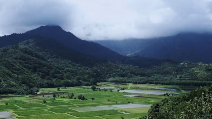 हिमाचल प्रदेश के किसानों को किया जाएगा प्रमाणित, फोटो साभार: freepik