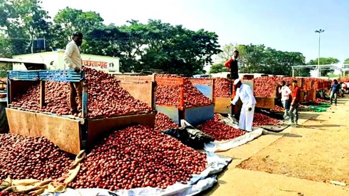 प्याज के गिरते दाम ने बढ़ाई महाराष्ट्र के किसानों की समस्या (Photo-Kisan Tak).