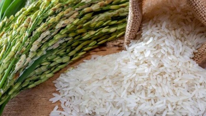 Paddy Variety: धान की उन्नत किस्में