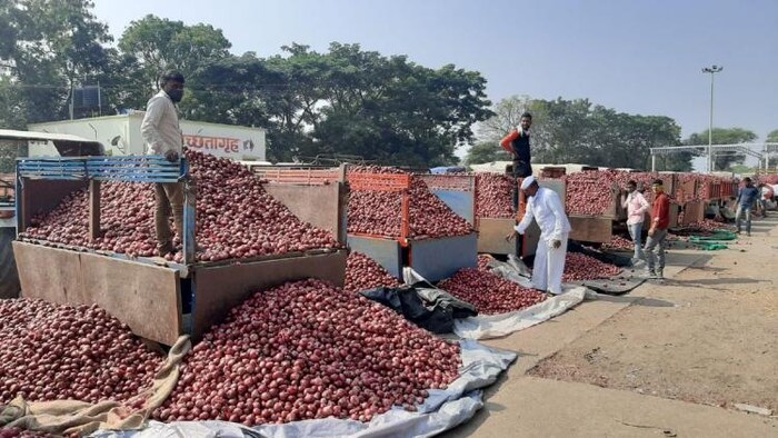 कब मिलेगा किसानों को प्याज का उचित दाम ?