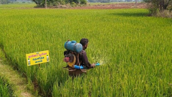 अगले 10-15 दिनों में पोटाश की कमी दूर होने की संभावना है