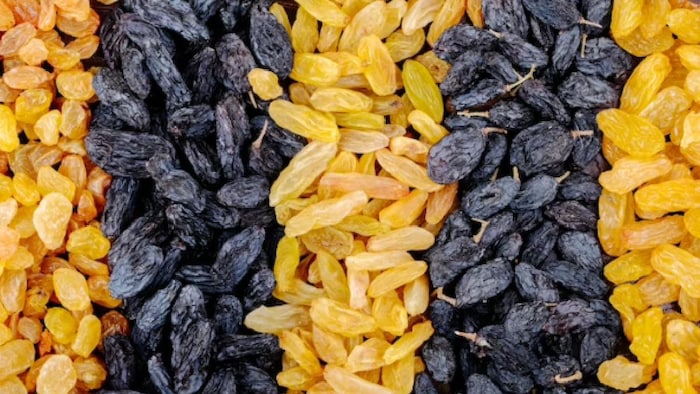 कर्नाटक के विजयपुरा में होती है सबसे अच्छी क्वालिटी की किशमिश