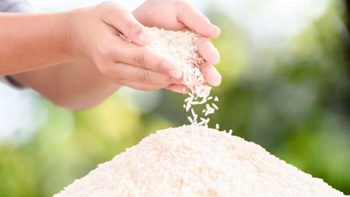 पीडीएस के तहत चावल बांटेगी तेलंगाना सरकार, फोटो साभार: freepik