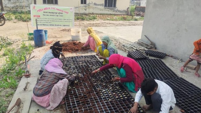 मुजफ्फरनगर में गन्ना बीज तैयार करतीं स्वयं सहायता समूह की महिलाएं, फोटो: साभार उप्र सरकार