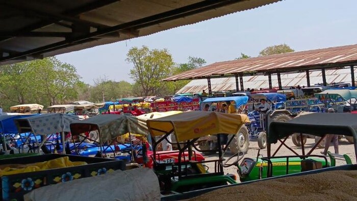 उपज लेकर मंडी पहुंचे किसान, भारी तादाद में भीड़ हुई इकट्ठी