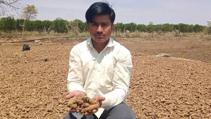 बेमौसम बारिश के चलते किसान हल्दी नहीं सुखा पा रहे है.(Photo-sarita sharma/Kisan Tak)