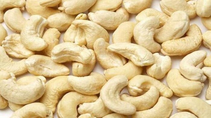 काजू की खेती बनेगी फायदे का सौदा