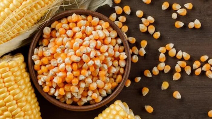 जानें अब आगे क्या होगा मक्के का हाल, फोटो साभार: freepik