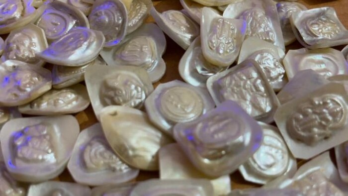 मोती की खेती से करें,लाखों की कमाई - फोटो किसान तक