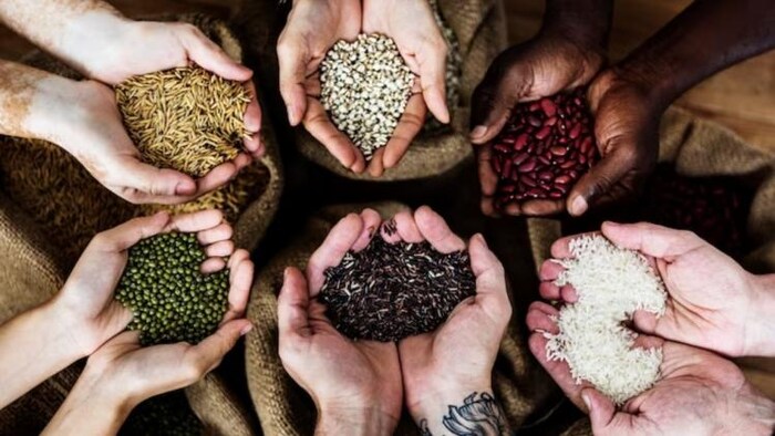 भारत से सबसे अधिक एग्रो फूड खरीदता है USA, फोटो साभार: freepik