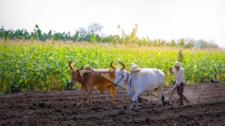 Madhya Pradesh:  अब प्राकृतिक खेती करने के लिए करवाएं फ्री रजिस्ट्रेशन, जानें कैसे करें आवेदन