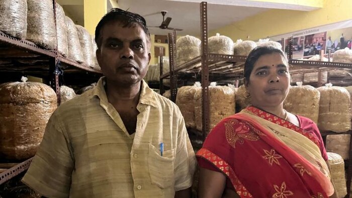 Image 'किसान तक'-संजय कुमार और उनकी पत्नी अनीता कुमारी 15 साल से ऑयस्टर मशरूम की खेती कर रहे हैं