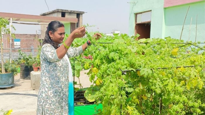 Image 'किसान तक' 6 महीनों से सन्नी सिंह बाजार से कोई सब्जी नही खरीद रही हैं.