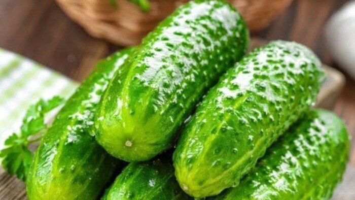 कड़वा खीरा करता है परेशान, फोटो साभार: pinterest