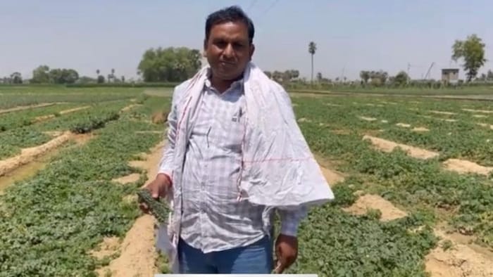 Image 'किसान तक': किसान राकेश कुमार प्रति हेक्टेयर 1088 क्विंटल आलू का उत्पादन कर चुके हैं.