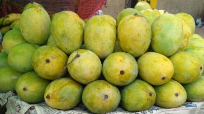 बिना काटे चल जाएगा पता आम खट्टा है या मीठा, (सांकेतिक तस्वीर)