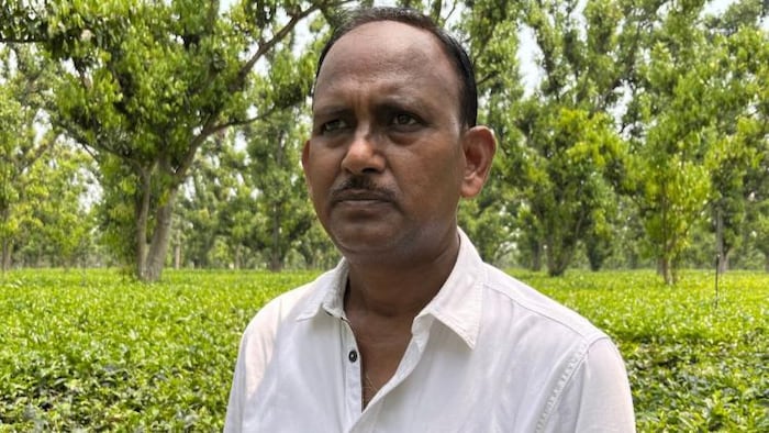 फोटो 'किसान तक ' : राधेकृष्ण बैंक की नौकरी छोड़ कर रहे चाय की खेती