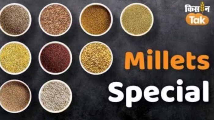मध्य प्रदेश की इस यूनिवर्सिटी में मिलेट्स की होगी खेती