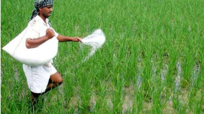खरीफ़ सीजन में धान की रोपाई में नहीं होगी उर्वरक की कमी
