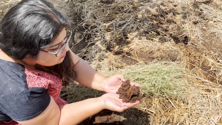 Vermi Compost यूनिट लगाने से म‍िलता है मोटा मुनाफा! यहां समझें कमाई का पूरा गण‍ित 