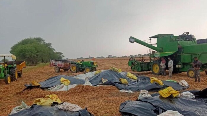 यूपी में कटाई के बाद गेहूं की उपज को बेचने के लिए किसान मंडी ले जाने की तैयारी में, फोटो : किसान तक