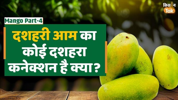 दशहरी आम को दशहरी क्यों कहते हैं